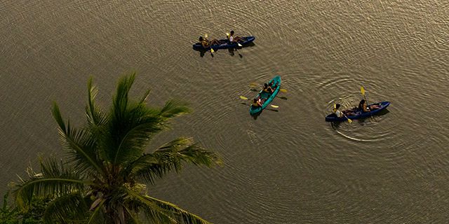 Sea kayaking sundowner experience west coast guided  (11)